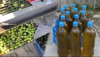 Mungon tregu dhe çmimi, tonelata vaj ulliri të mbetura stok në magazina