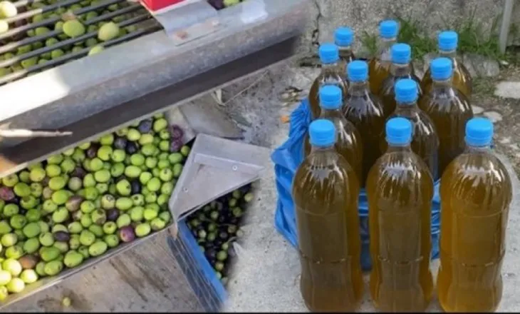 Mungon tregu dhe çmimi, tonelata vaj ulliri të mbetura stok në magazina