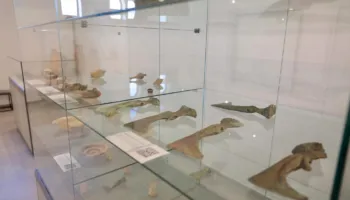 Muzeu Arkeologjik i Lezhës, 268 objekte nga prehistoria në mesjetë, të zbuluara ndër vite në territorin e qytetit…