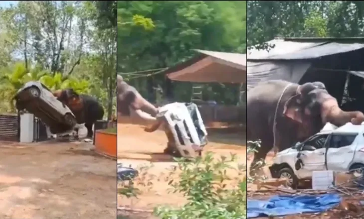 Një i vdekur dhe disa të plagosur pasi u sulmuan nga elefanti në një tempull në Indi