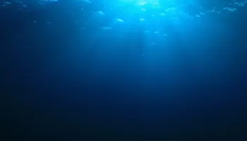 Një vend në Tokë që është më i errët dhe më i rrezikshëm se hapësira, megjithatë këto krijesa mbijetojnë