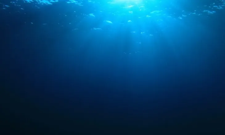 Një vend në Tokë që është më i errët dhe më i rrezikshëm se hapësira, megjithatë këto krijesa mbijetojnë