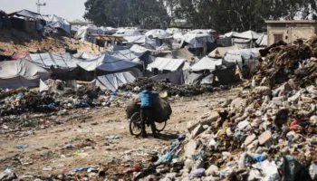 OBSH: 17 mijë njerëz të kafshuar nga minjtë në kampet e Gazës, frikë dhe për epidemi!