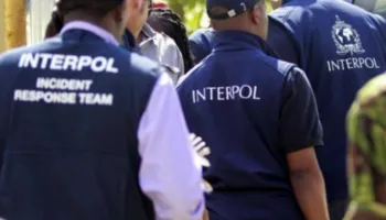 Operacion i Interpolit, sekuestrohen mbi 6 milionë doza viagra, steroide dhe ilaçe për humbje peshe