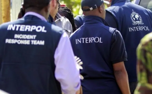 Operacion i Interpolit, sekuestrohen mbi 6 milionë doza viagra, steroide dhe ilaçe për humbje peshe