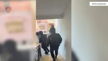 Operacioni antidrogë, Policia: Sekuestrohen 9 kilogramë kanabis, 7 automjete…