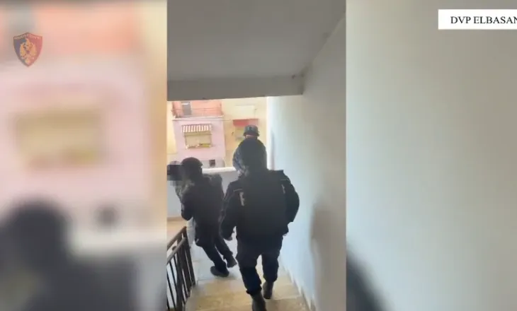 Operacioni antidrogë, Policia: Sekuestrohen 9 kilogramë kanabis, 7 automjete…