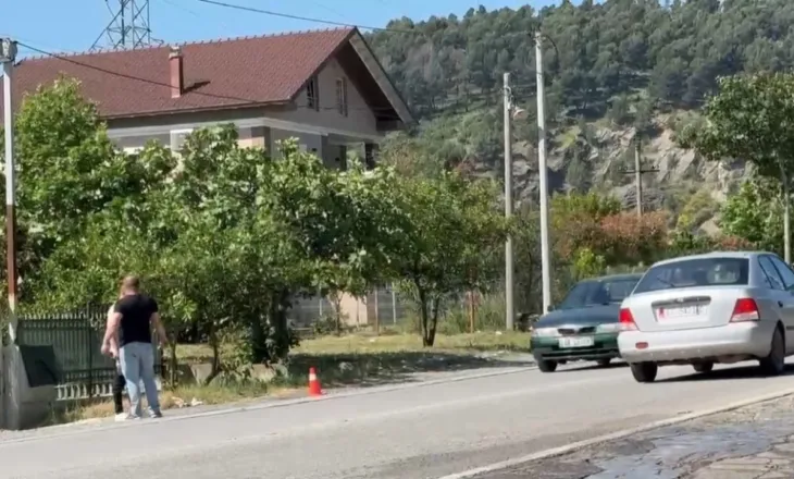 Përplasi për vdekje 7-vjeçarin në Elbasan, ndalohet drejtuesi i mjetit