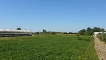 “Po braktisim tokat”, fermerët në Roskovec ankohen për kosto dhe mungesë subvencionesh