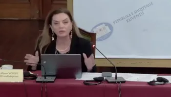 “Pse e mbani procesin e integrimit top sekret?”, Vokshi debate me socialistët në Komisionin e Jashtëm