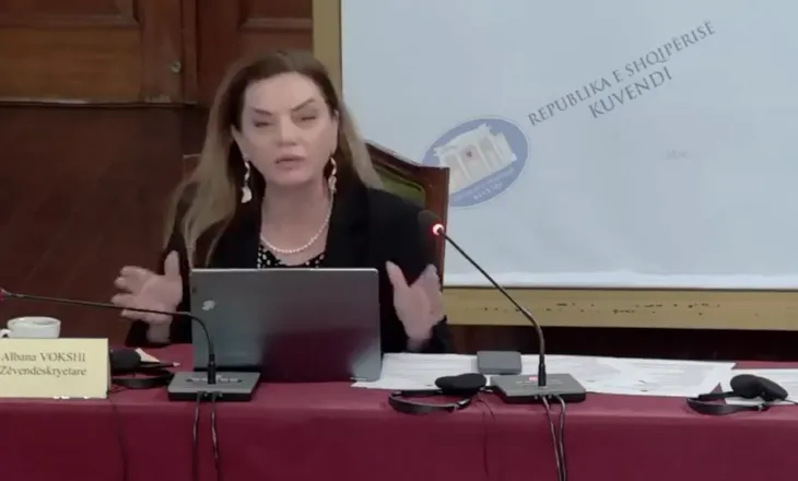 “Pse e mbani procesin e integrimit top sekret?”, Vokshi debate me socialistët në Komisionin e Jashtëm