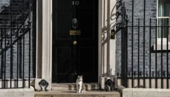 “Qeveritë bien, por jo Larry”/ Njihuni me maçokun e Downing Street që ka përcjellë 5 kryeministra britanikë, a do jetë Starmer ‘viktima’ e tij e radhës