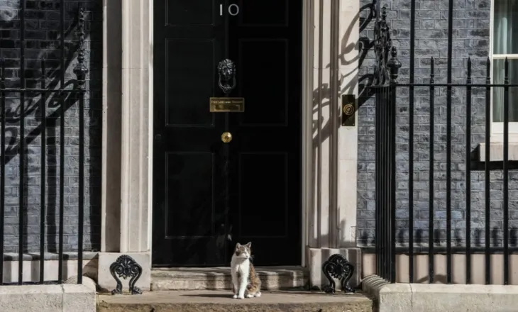 “Qeveritë bien, por jo Larry”/ Njihuni me maçokun e Downing Street që ka përcjellë 5 kryeministra britanikë, a do jetë Starmer ‘viktima’ e tij e radhës