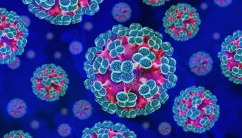 Rasti u publikua në revistën mjekësore “The Lancet”, ja kur u identifikua për herë të parë Hantavirusi në Shqipëri