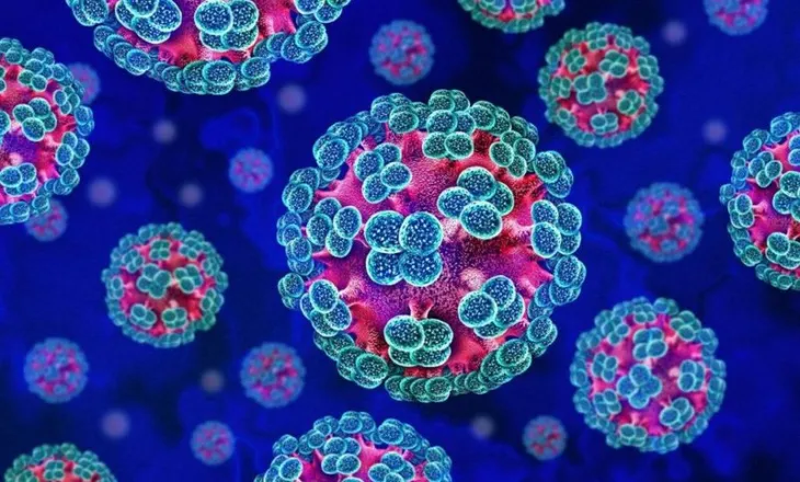 Rasti u publikua në revistën mjekësore “The Lancet”, ja kur u identifikua për herë të parë Hantavirusi në Shqipëri