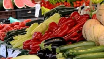 Rritet prodhimi, ulet çmimi/ Tregu i shumicës në Lushnjë “fundos” fermerët