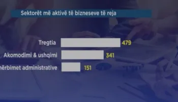 Rritet sipërmarrja në Shqipëri, 2009 biznese të reja në muajin prill, dominon Tirana