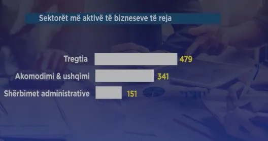 Rritet sipërmarrja në Shqipëri, 2009 biznese të reja në muajin prill, dominon Tirana