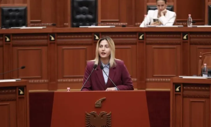 Saranda si shembull i një grupi të struktuar kriminal’/ Zhupa: Të hetohen lidhjet e zyrtarëve të policisë dhe IMT
