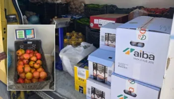 “Shteti të reagojë”/ Konflikti në Aeroportin e Vlorës, Behgjet Pacolli: 50 inxhinierë kinezë po mbahen të izoluar brenda