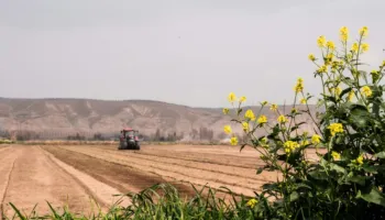 Si do bëhet shitja e tokave bujqësore në pronësi? Kriteret për 445 mijë familje në të gjithë vendin