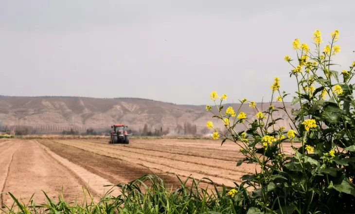 Si do bëhet shitja e tokave bujqësore në pronësi? Kriteret për 445 mijë familje në të gjithë vendin