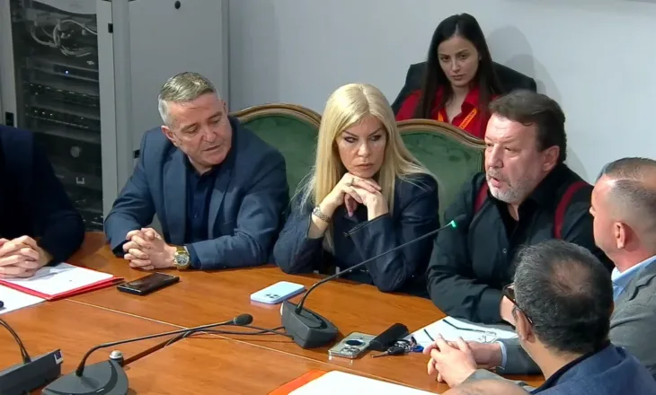 “Studentët tanë paguhen më shumë se ne”, Manjola Nallbani në Komisionin e Kulturës: Doktoratura s’mund të jetë kriter që të japim mësim