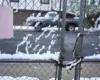 Stuhia e dëborës godet Koloradon, mbyllen shkollat ​​dhe bllokohet trafiku