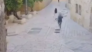 Sulmi ndaj murgeshës në Izrael, indinjatë në mbarë botën: Nuk është rast i izoluar