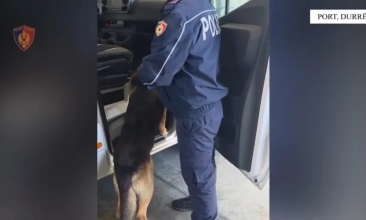 Tentoi të trafikonte mbi 3 mijë fara kanabisi në Shqipëri, arrestohet 24-vjeçari në Durrës