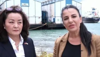Tigrat e Vlorës – Energjia që prodhohet 6 herë më shtrenjtë se sa shitet