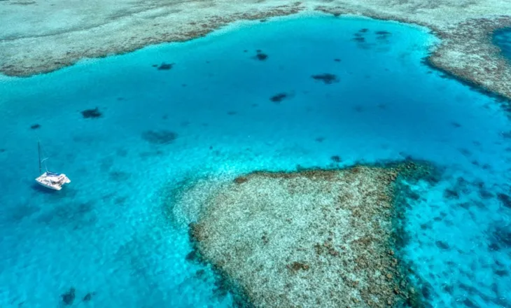Tragjedi në Maldive, pesë turistë italianë humbin jetën gjatë një zhytjeje