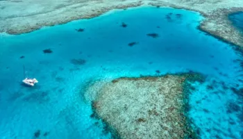 Tragjedi! Pesë turistë italianë humbin jetën gjatë një zhytjeje