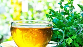 Ushqimet që përmirësojnë kujtesën, çfarë të konsumoni dhe të shmangni për një mendje më të mprehtë
