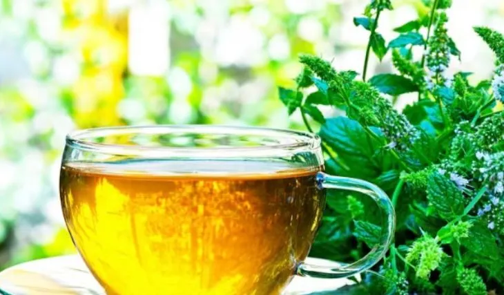 Ushqimet që përmirësojnë kujtesën, çfarë të konsumoni dhe të shmangni për një mendje më të mprehtë