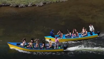 Vajzat e Miss Shqipëria nisin turin, destinacioni i parë Divjaka, aktiviteti përkon me çeljen e sezonit turistik