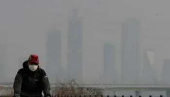 Vetëm një orë në ajër të ndotur mund të ndikojë trurin dhe mushkëritë