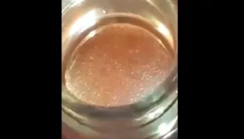 VIDEO / Ja uthulla me krimba tek Akademia e Sigurisë, AKU sekuestro ushqimeve dhe gjobë subjektit