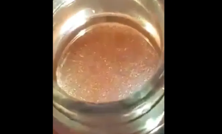 VIDEO / Ja uthulla me krimba tek Akademia e Sigurisë, AKU sekuestro ushqimeve dhe gjobë subjektit