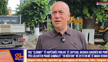 VIDEO – Pas “çlirimit” të hapësirës publike, nis transformimi i lulishtes pranë gjimnazit “28 Nëntori”…