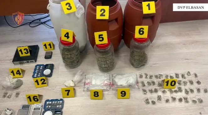 VIDEO / Zbardhet operacioni në Elbasan: 16 të arrestuar, 8 në kërkim dhe 27 kontrolle banesash