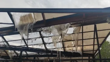Video/ Zjarr në tregun e fruta-perimeve në Lushnjë, digjet një pjesë e çatisë dhe mallrat