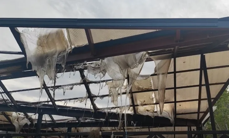 Video/ Zjarr në tregun e fruta-perimeve në Lushnjë, digjet një pjesë e çatisë dhe mallrat
