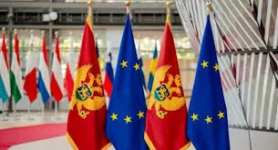 Zbardhet raporti i PE-së: Mali i Zi, vendi më i avancuar në rrugën drejt BE-së