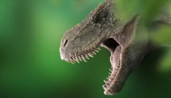 Zbulohet dinozauri më i madh i gjetur në Azinë Juglindore
