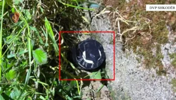 Zbulohet lokali ku shitej kokainë dhe organizoheshin lojëra fati në Shkodër, arrestohet pronari 26-vjeçar