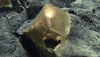 Zgjidhet misteri i sferës së artë në fund të oqeanit, janë mbetjet e ‘lëkurës’ së…