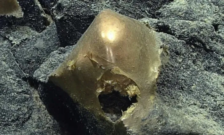 Zgjidhet misteri i sferës së artë në fund të oqeanit, janë mbetjet e ‘lëkurës’ së…
