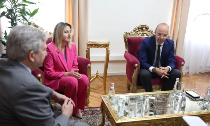 Zhupa dhe Kaso takohen me përfaqësues të NDI, në fokus demokracia dhe zgjedhjet