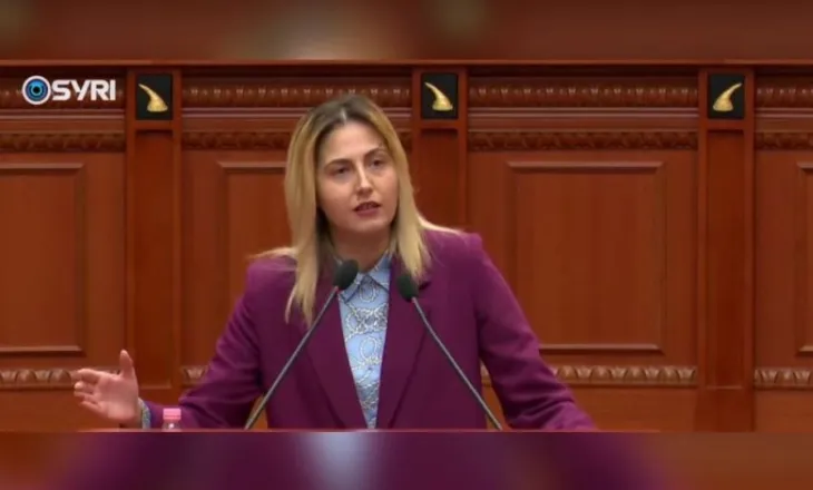 Zhupa ngre alarmin për ligjet e investimeve: Po gllabërohet prona publike me ligje klienteliste